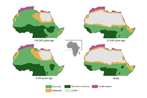 Sahara Desert greening image chart article
