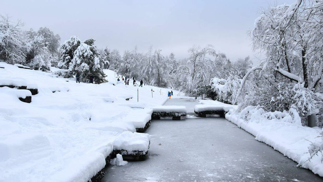 METEO NEWS : Gelido Nord Europa
