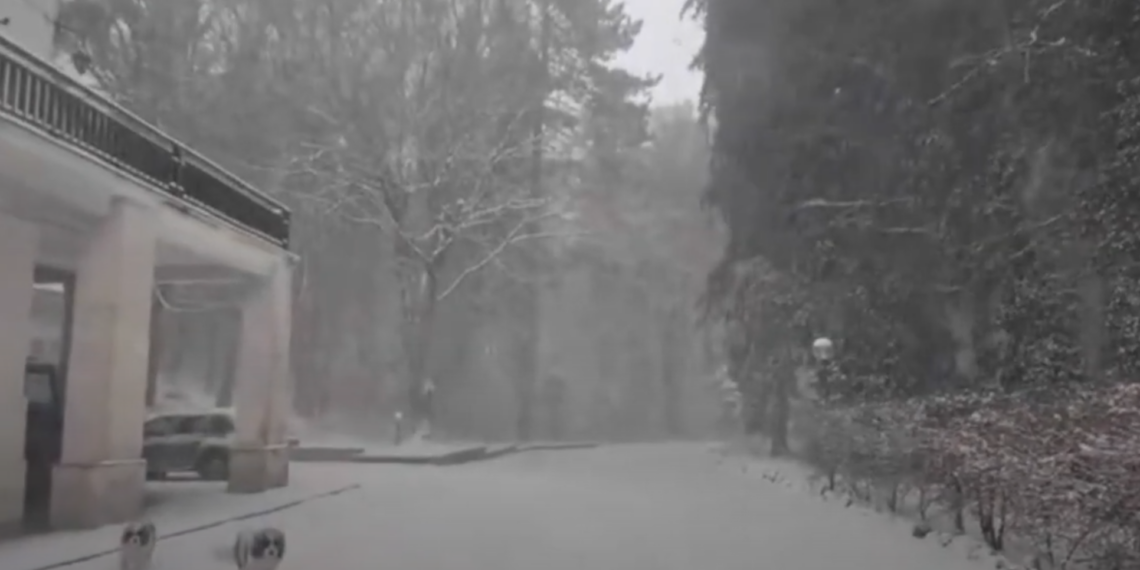 VIDEO: Umbria sotto la neve, la immagini girate in una foresta