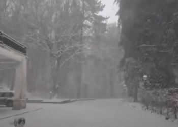 VIDEO: Umbria sotto la neve, la immagini girate in una foresta