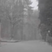 VIDEO: Umbria sotto la neve, la immagini girate in una foresta