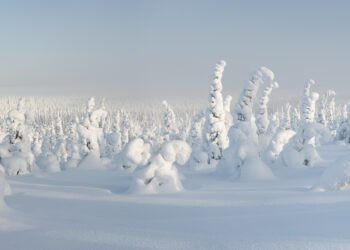 BURAN: Entro una settimana, dovrebbe arrivare sull’Italia