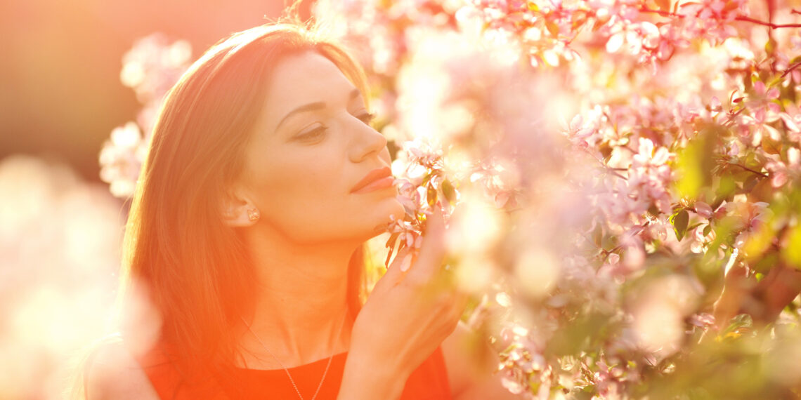 ANTICIPO PRIMAVERA e inverno già finito anche quest’anno? Le ultime proiezioni