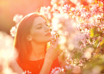 ANTICIPO PRIMAVERA e inverno già finito anche quest’anno? Le ultime proiezioni