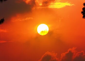 PRIMAVERA 2025: Prime proiezioni delle previsioni stagionali