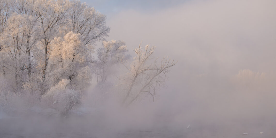 METEO 7 GIORNI: Intense gelate e ritorno della nebbia
