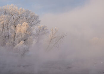 METEO 7 GIORNI: Intense gelate e ritorno della nebbia
