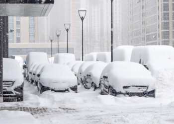 ARTICO CHIAMA ITALIA: Altre conferme dal modello Americano