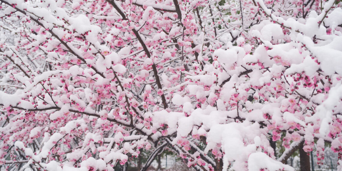 TEMPERATURE: Il freddo artico inaugura il mese di Aprile