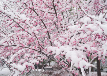 TEMPERATURE: Il freddo artico inaugura il mese di Aprile