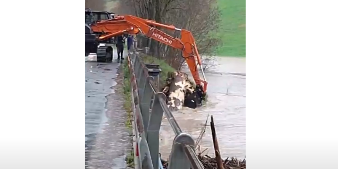 VIDEO ALLUVIONE ER: Rimozione di legna dal fiume Lamone a Brisighella