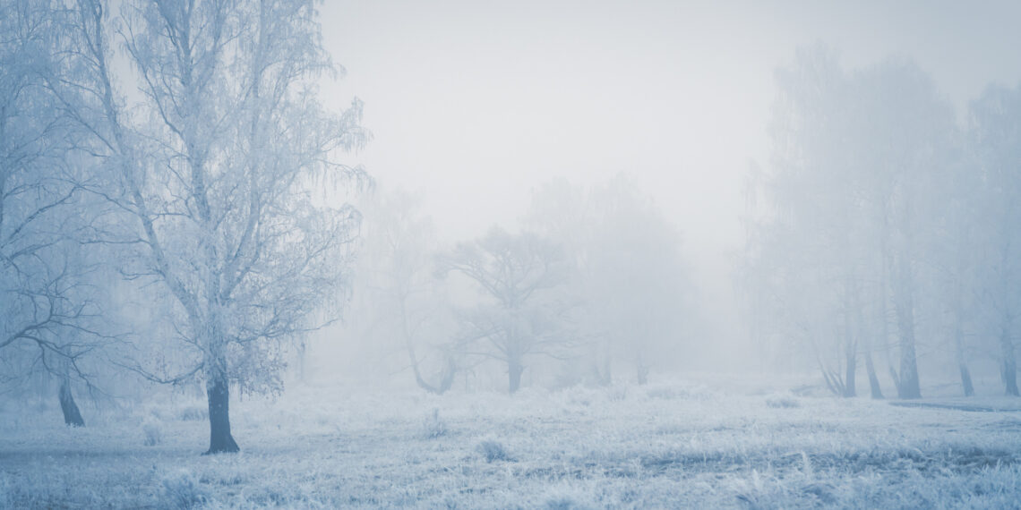 TEMPERATURE: Tracollo fino 15 gradi con ritorno del gelo e neve