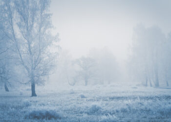 TEMPERATURE: Tracollo fino 15 gradi con ritorno del gelo e neve