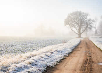 ARTICO CHIAMA ITALIA: Freddo e gelo con brinate anche in pianura