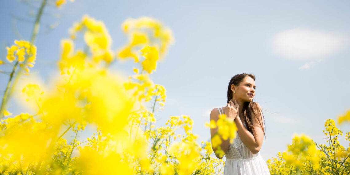 METEO 7 GIORNI: Mite Anticiclone, prima di un forte peggioramento
