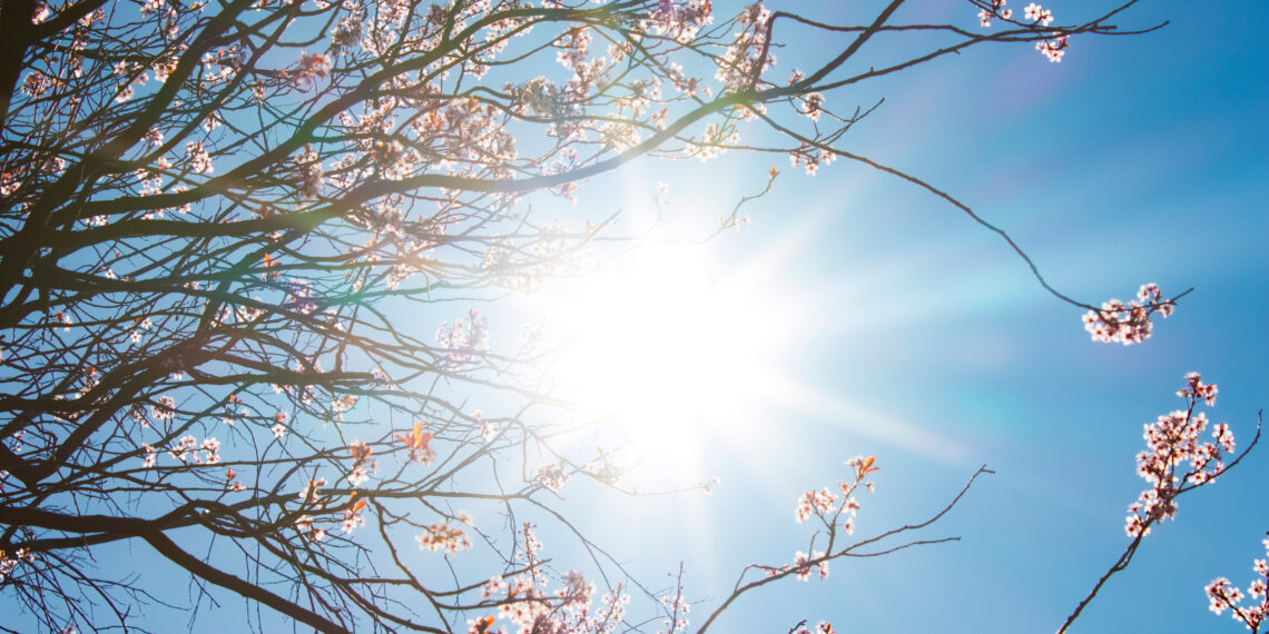 METEO 7 GIORNI: Mite Anticiclone, prima di un forte peggioramento