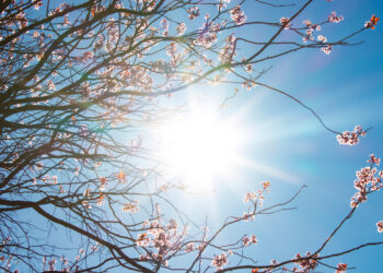 METEO 7 GIORNI: Mite Anticiclone, prima di un forte peggioramento