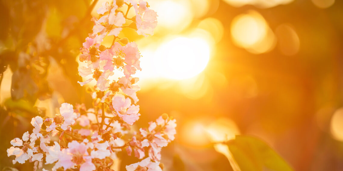METEO NEWS: Caldo Anticiclone a causa della falla Iberica
