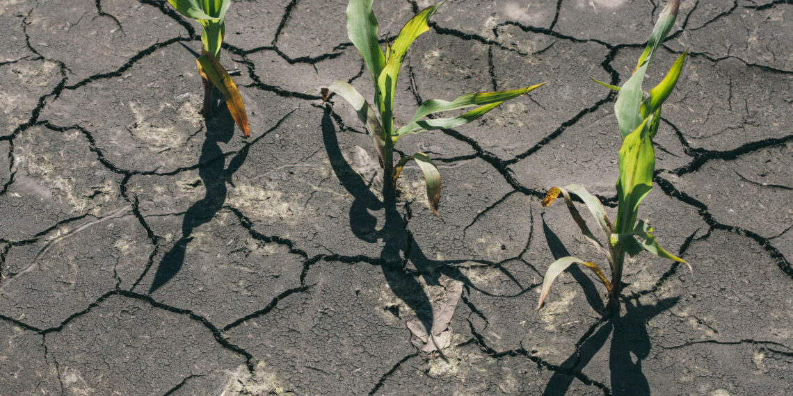 CLIMA: La Nina Cos’è e gli effetti che provoca, in Italia e nel mondo